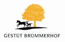 Logo Gestüt Brümmerhof in Soltau